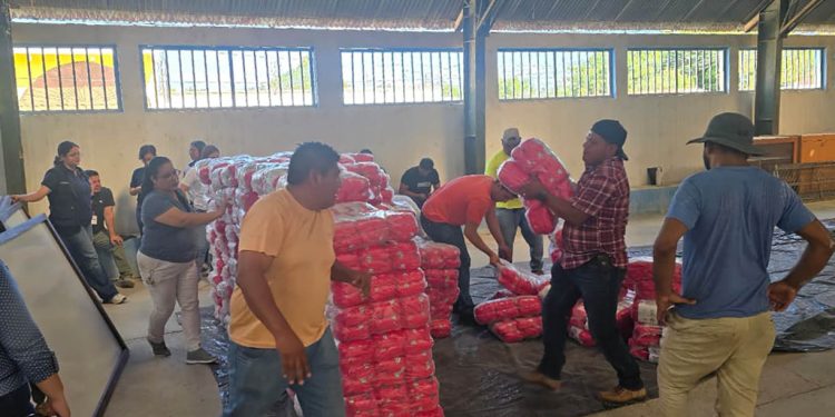 Entregaran más de 24 mil raciones de alimentos a familias de Petén y Suchitepéquez