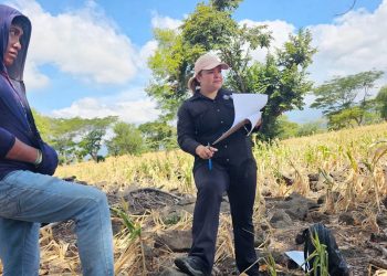 Extensionistas acompañan a productores de Ipala con monitoreos y medidas de resiliencia agrícola