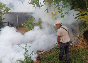Combatiendo el dengue en comunidad Tierra Blanca, Sayaxché, Petén