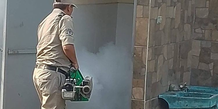 Salud Escolar: Desarrollan acciones contra el dengue en ocho escuelas de Suchitepéquez