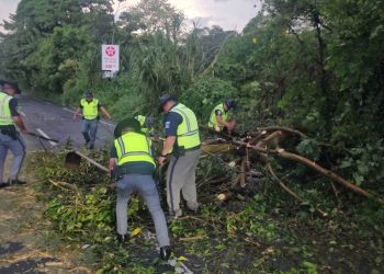 Provial brinda una respuesta oportuna ante emergencias en carretera durante las lluvias