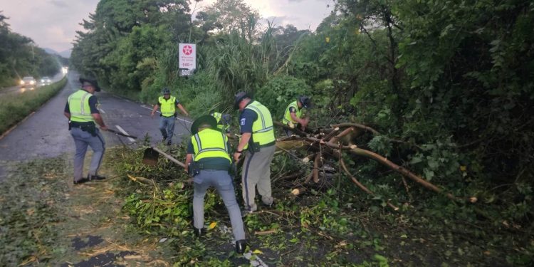 Provial brinda una respuesta oportuna ante emergencias en carretera durante las lluvias