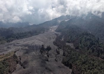 Avalanchas de material volcánico llegan al límite de la vegetación en el Volcán de Fuego