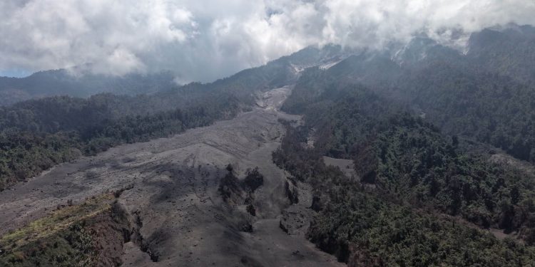 Avalanchas de material volcánico llegan al límite de la vegetación en el Volcán de Fuego