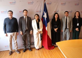 Chile y Colombia comparten experiencias con Guatemala para fortalecer sus capacidades sobre innovación y financiamiento de la cooperación triangular