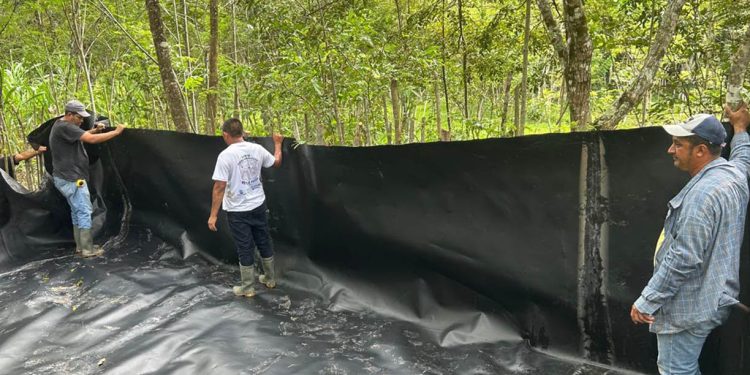 Familias de San Luis ahora pueden almacenar agua de lluvia