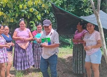 Familias fortalecen la producción de alimentos de sus huertos