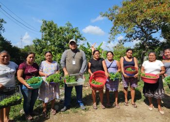 Más de mil familias de Petén fueron beneficiadas con pilones