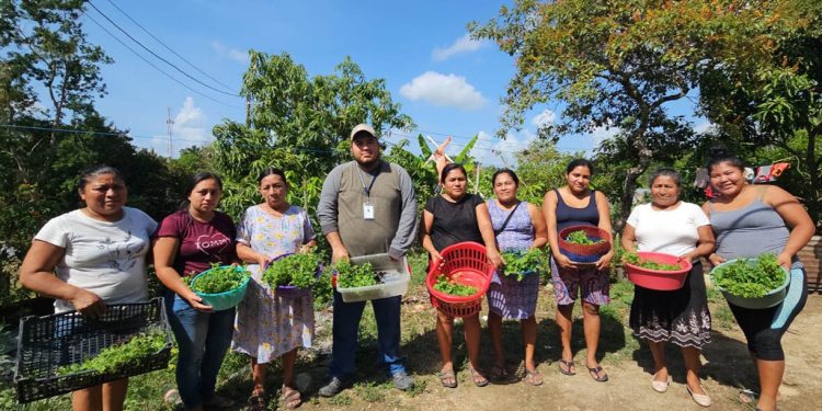 Más de mil familias de Petén fueron beneficiadas con pilones