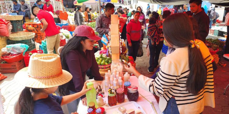 Feria del Agricultor impulsa la comercialización directa para 22 familias agricultoras de San Marcos