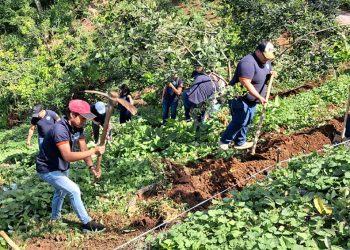 Finaliza réplica de capacitación del programa Suelos y Agua para el Futuro