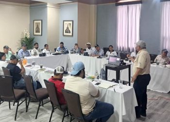 Fortalecen capacidades técnicas para el monitoreo digital de parcelas de maíz