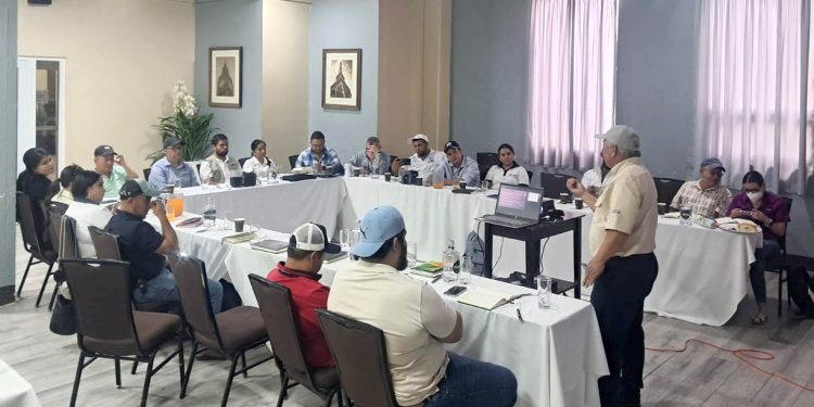 Fortalecen capacidades técnicas para el monitoreo digital de parcelas de maíz
