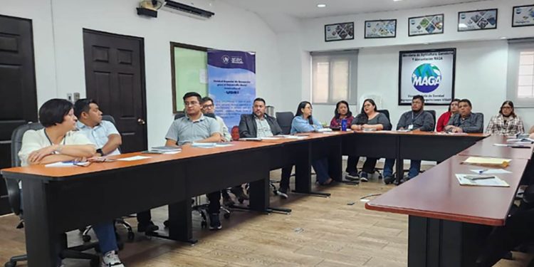 Fortalecen conocimientos relativos a los derechos de los Pueblos Indígenas