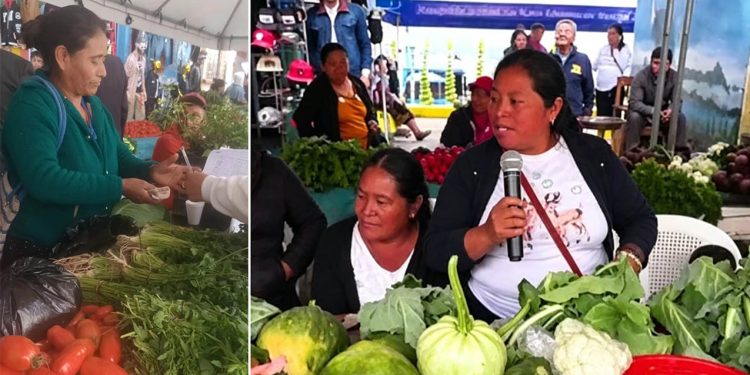Fortalecen economía de familias agricultoras con la Feria del Agricultor de San Marcos
