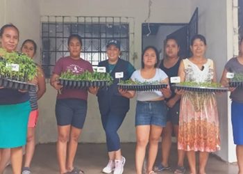 Fortalecen la agricultura familiar de Villa Canales el entregar pilones de hortalizas
