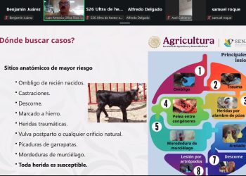 Fortalecen vigilancia para detectar el Gusano Barrenador de forma temprana