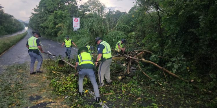 PROVIAL mantiene atención 24/7 durante la temporada de lluvia