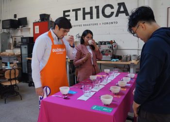 Guatemala promueve la calidad y diversidad de su café en Toronto