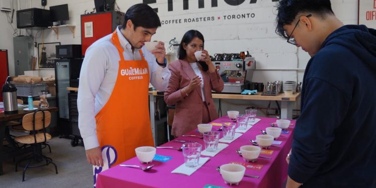 Guatemala promueve la calidad y diversidad de su café en Toronto