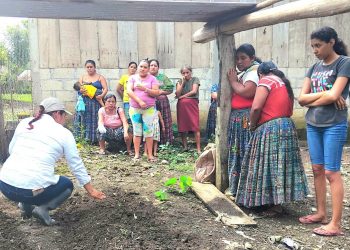 Huertos familiares contribuyen a la seguridad alimentaria en La Providencia, Poptún