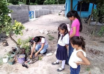 MAGAcciones | Huertos Escolares Pedagógicos