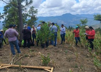 Implementan programa Suelos y Agua para el Futuro en Zacapa
