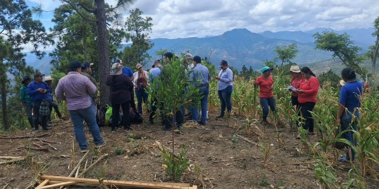 Implementan programa Suelos y Agua para el Futuro en Zacapa