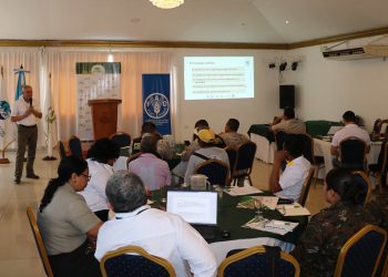 Impulsan actualización de la Política Forestal de Guatemala ante los nuevos desafíos ambientales