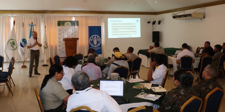 Impulsan actualización de la Política Forestal de Guatemala ante los nuevos desafíos ambientales
