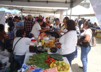 El sabor del campo llega a Tactic, Alta Verapaz