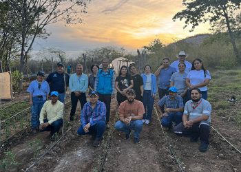 Impulsan el cultivo de hortalizas en comunidades de Zacapa