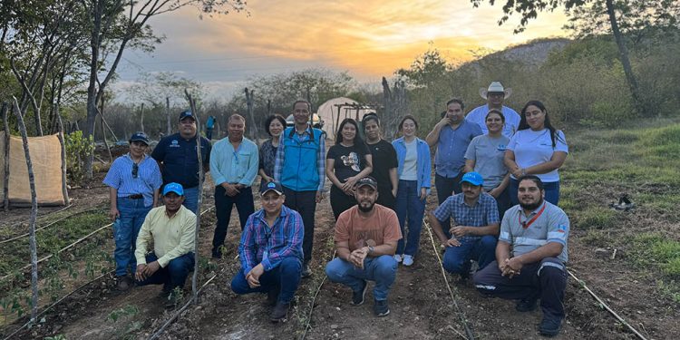 Impulsan el cultivo de hortalizas en comunidades de Zacapa