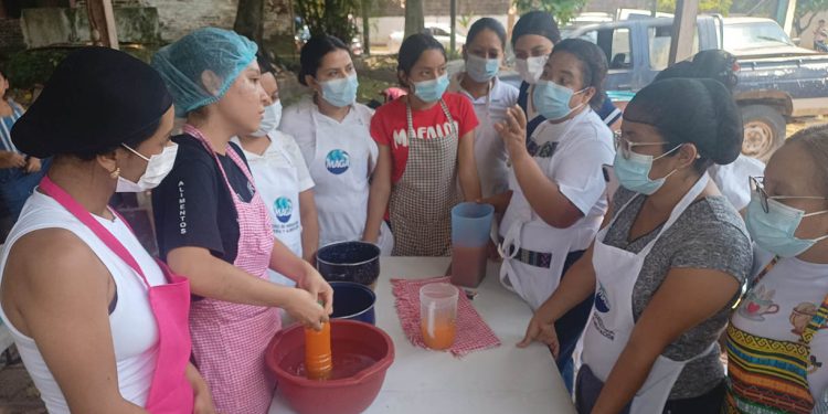 Impulsan el valor agregado en bebidas naturales para su venta en Ferias del Agricultor