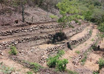 Impulsan la conservación de suelos y huertos orgánicos en Zacapa