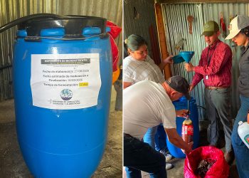 Impulsan la producción agrícola sostenible mediante elaboración de biofermentos