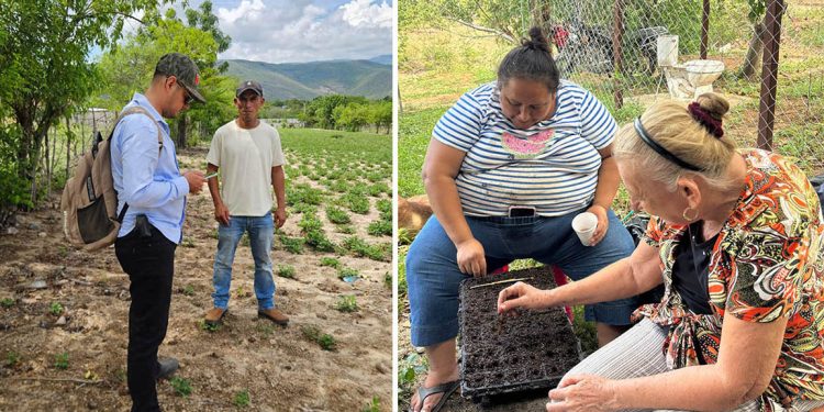 Impulsan registro de agricultores y siembra de hortalizas para fortalecer la producción en Zacapa