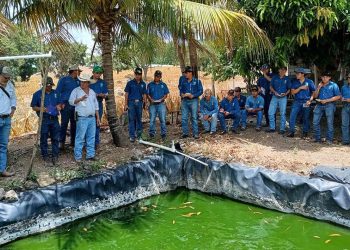 Intercambio de saberes promueve el aprendizaje agrícola y pecuario en San José La Arada