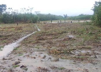 Lluvias fuertes aumentan el riesgo de inundaciones en diferentes zonas