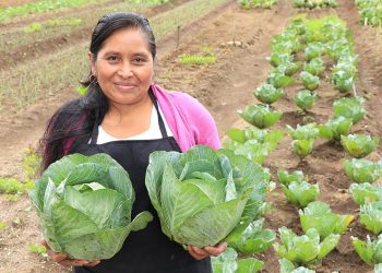 MAGA reconoce labor de los agricultores en el Día Mundial de la Agricultura