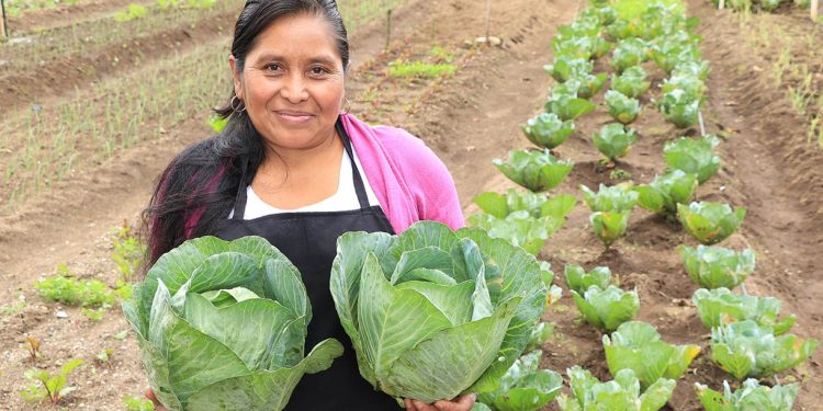 MAGA reconoce labor de los agricultores en el Día Mundial de la Agricultura