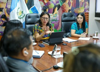 Ministra de Trabajo se reúne con representantes de CONADI