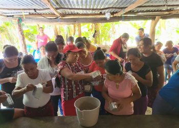 Mujeres aprenden a producir forraje hidropónico para sus aves de traspatio