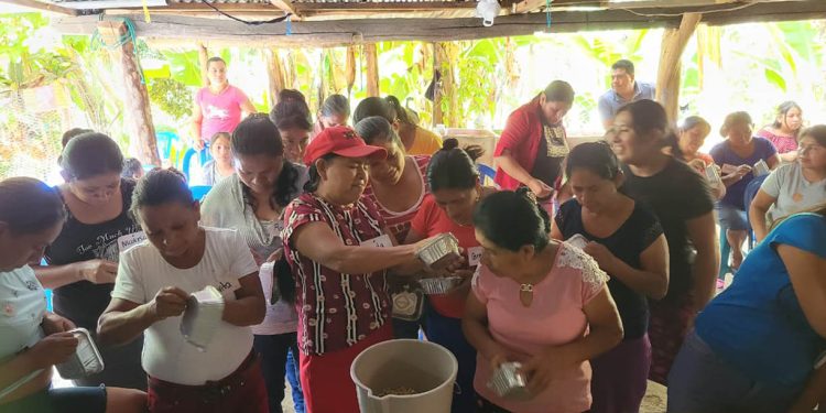 Mujeres aprenden a producir forraje hidropónico para sus aves de traspatio