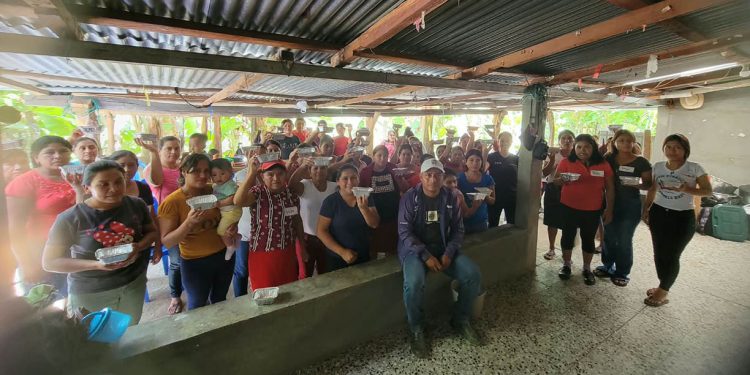 El traspatio también produce alimentos
