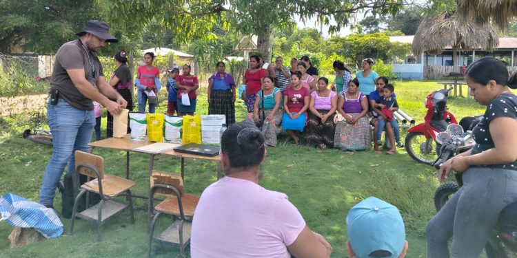 Mujeres rurales fortalecen su producción de hortalizas en Petén