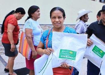 Nueva variedad de sorgo, alternativa para la alimentación y mejora de producción de granos básicos