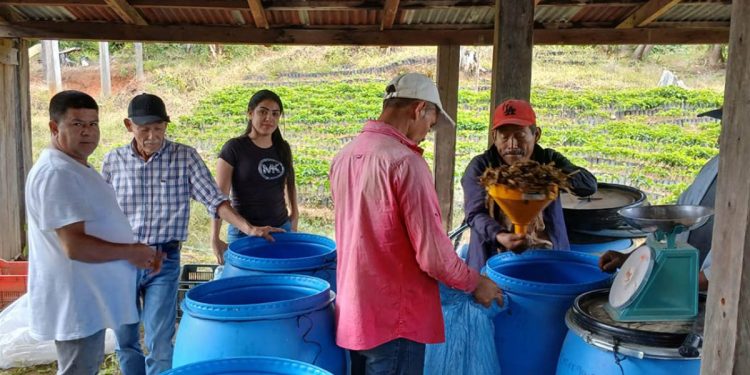 Asista al VI Congreso Nacional de Agricultura Orgánica