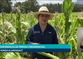 Presentan acciones para fortalecer producción agrícola ante desafíos climáticos