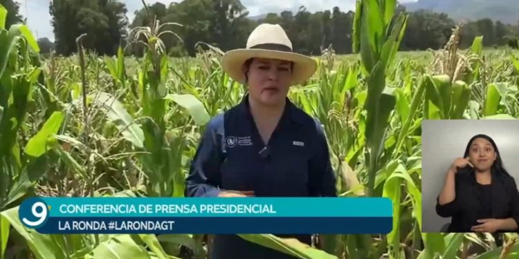 Presentan acciones para fortalecer producción agrícola ante desafíos climáticos